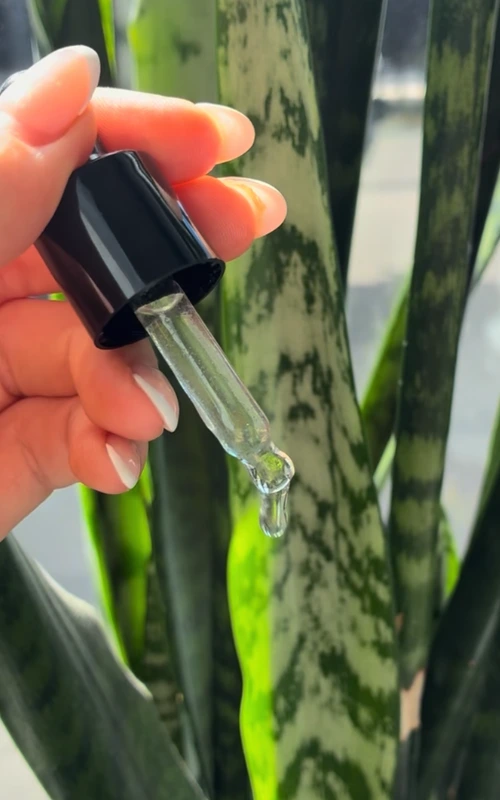 Tallow Hydration Serum dropper — 3 to 4 drops, morning and evening