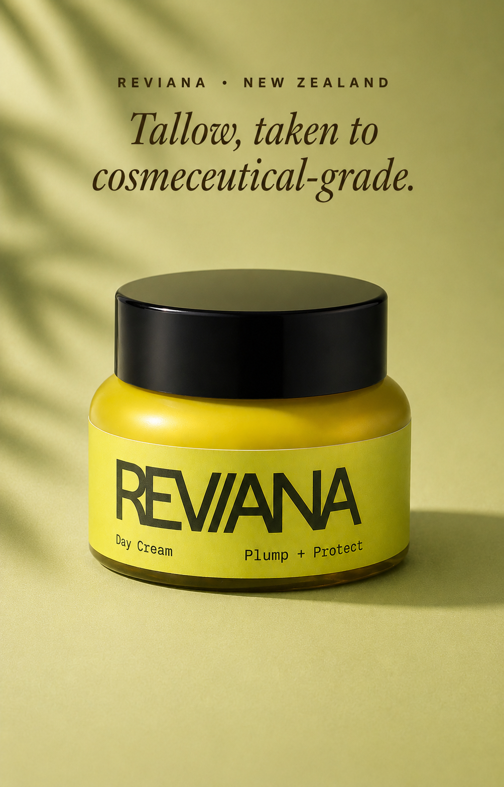 Reviana Tallow Day Cream — barrier building